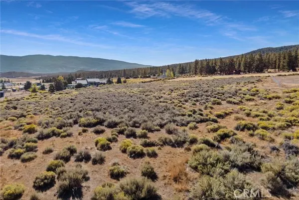 Frazier Park, CA 93225,1085 Dusty TRL