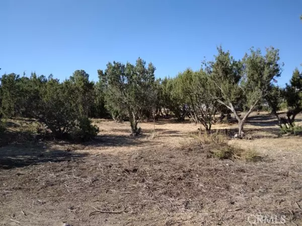 Agua Dulce, CA 91350,0 Agua Dulce CYN