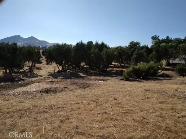 Agua Dulce, CA 91350,0 Agua Dulce CYN