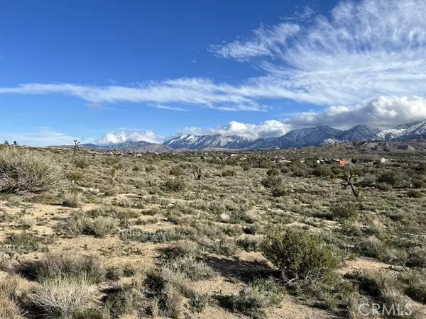 Pearblossom, CA 93553,0 Vac/Fort Tejon Pav /Vic AVE