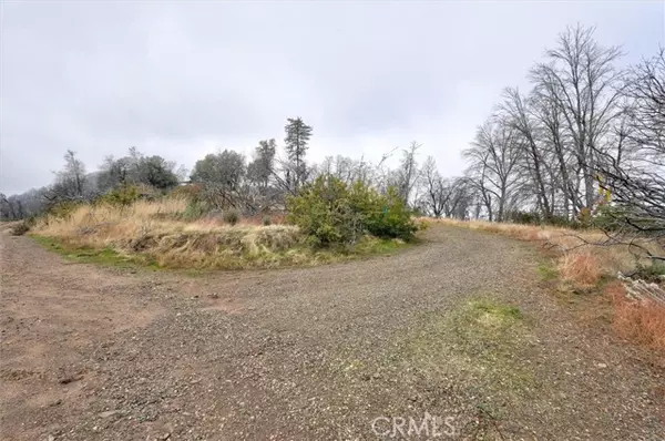 Mariposa, CA 95338,4536 Buckingham MTN