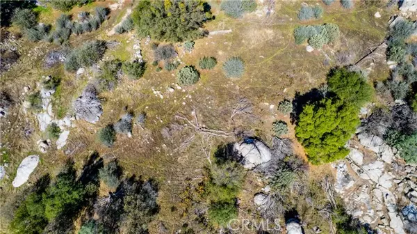 Mariposa, CA 95338,4658 Little Bear