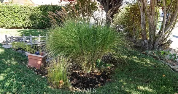 Paso Robles, CA 93446,907 Saint Ann DR