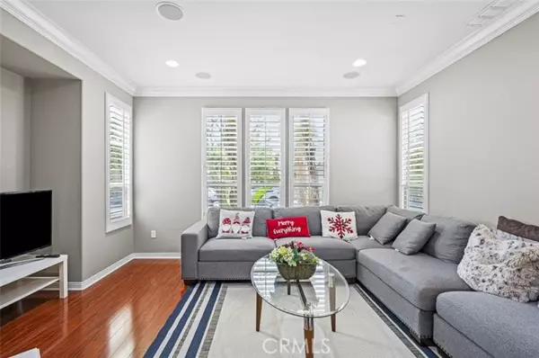 Irvine, CA 92620,78 Spanish Lace