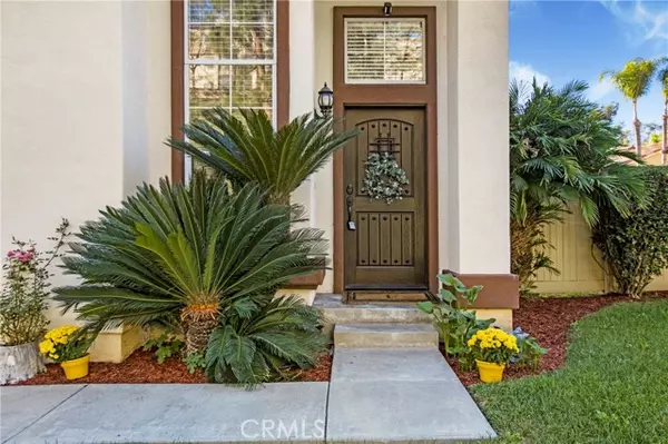 Aliso Viejo, CA 92656,27 Surfbird