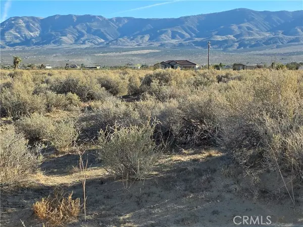 Lucerne Valley, CA 92356,800 Desert View RD