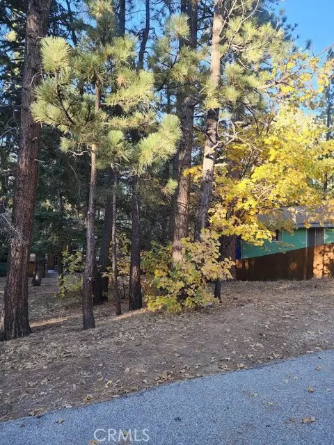 42736 Willow AVE, Big Bear Lake, CA 92315