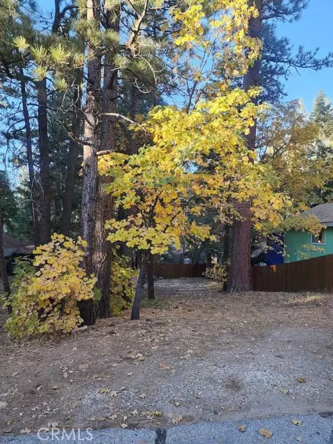 Big Bear Lake, CA 92315,42736 Willow AVE