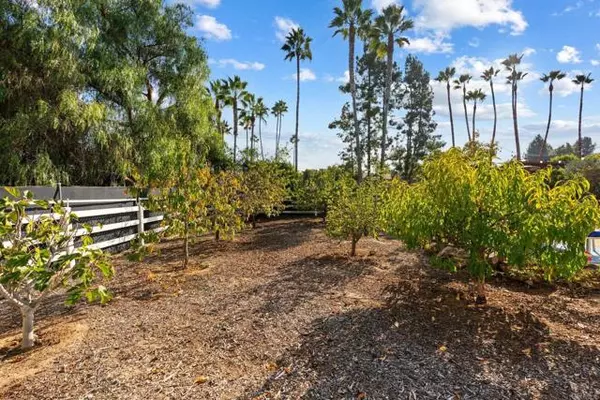 Encinitas, CA 92024,612 Lucylle LN