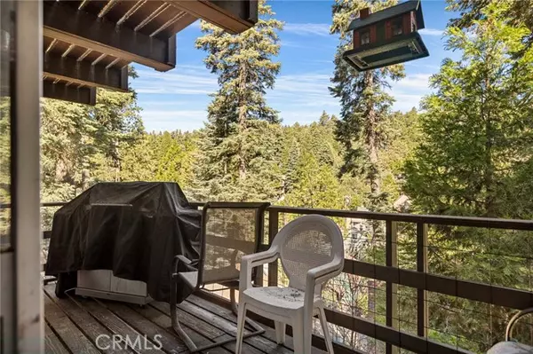 Lake Arrowhead, CA 92352,28224 Larchmont LN