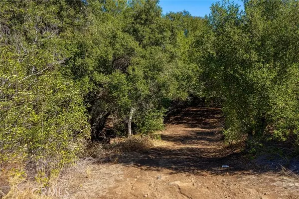 Temecula, CA 92590,1 Camino Estribo