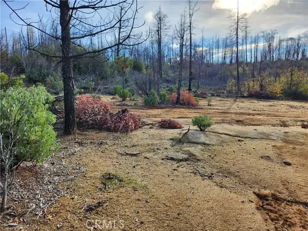 Berry Creek, CA 95916,120 Woodsmoke WAY