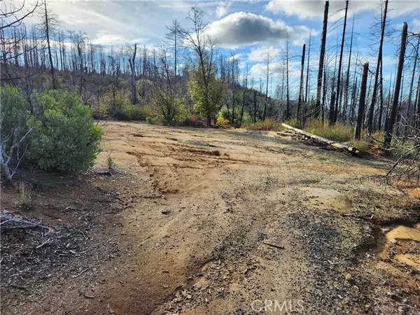 Berry Creek, CA 95916,120 Woodsmoke WAY