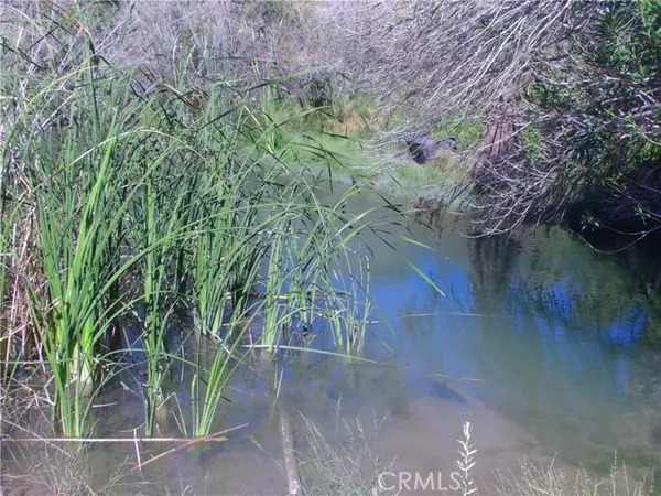 Blythe, CA 92225,2132 Riviera