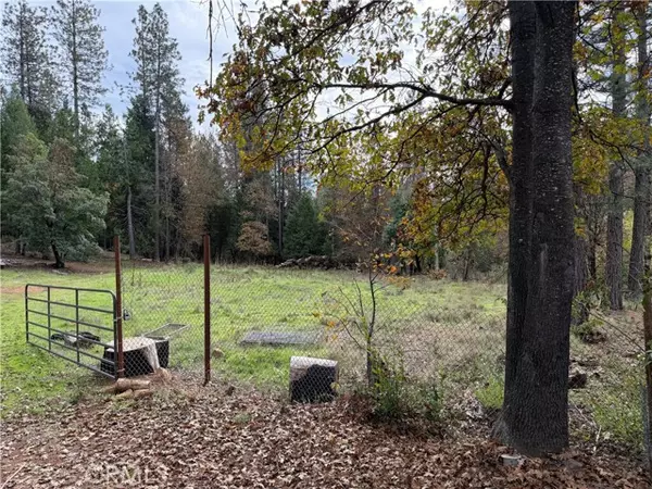 Brownsville, CA 95919,8890 La Porte RD