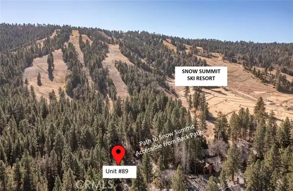 Big Bear Lake, CA 92315,41935 Switzerland DR 89