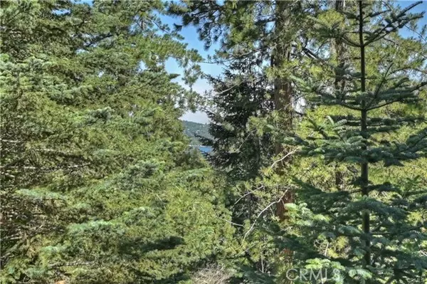 Lake Arrowhead, CA 92352,28393 Larchmont