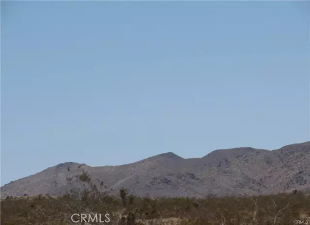 0 0557-051-21-0000 HWY 66, Amboy, CA 92304