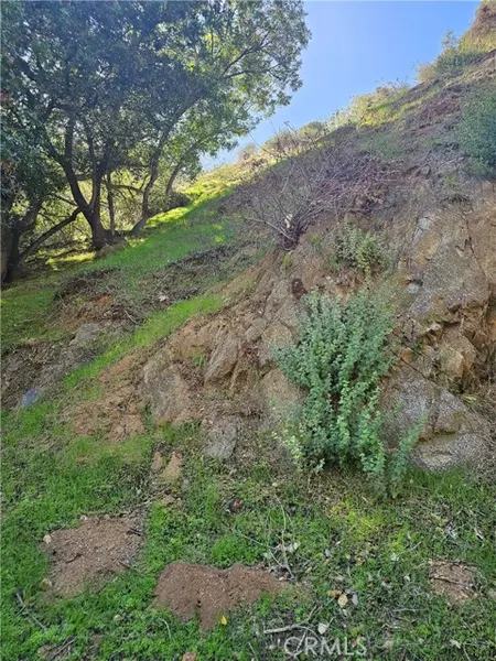 2145 Laurel canyon BLD, Los Angeles, CA 90046