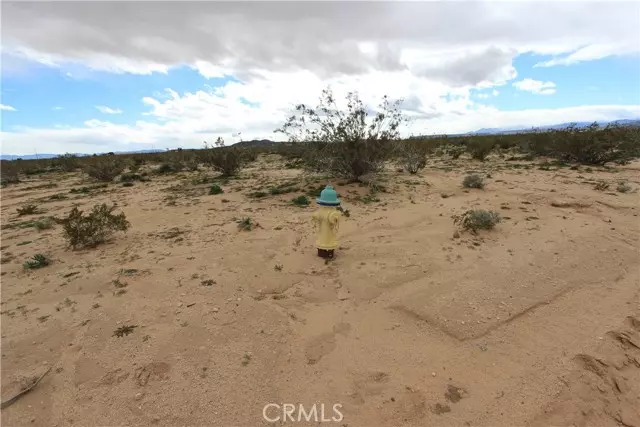 Landers, CA 92285,0 Mallow