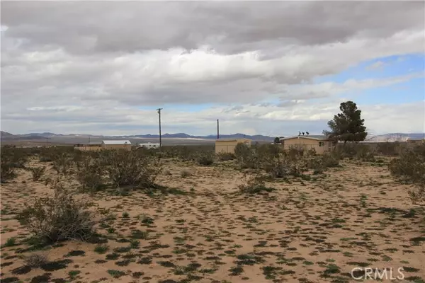 Landers, CA 92285,0 Mallow