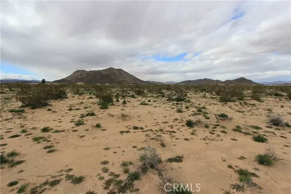 Landers, CA 92285,0 Mallow