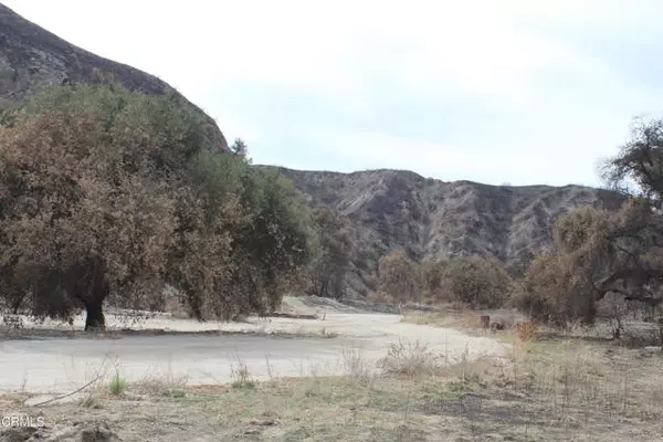 Castaic, CA 91384,31029 Hasley Canyon RD