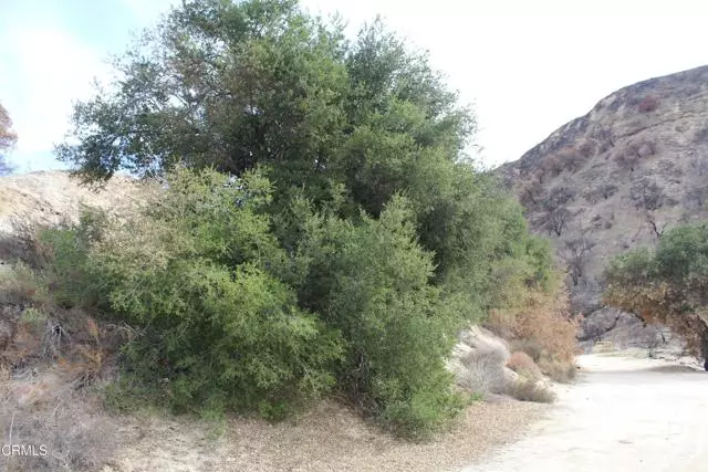 31029 Hasley Canyon RD, Castaic, CA 91384