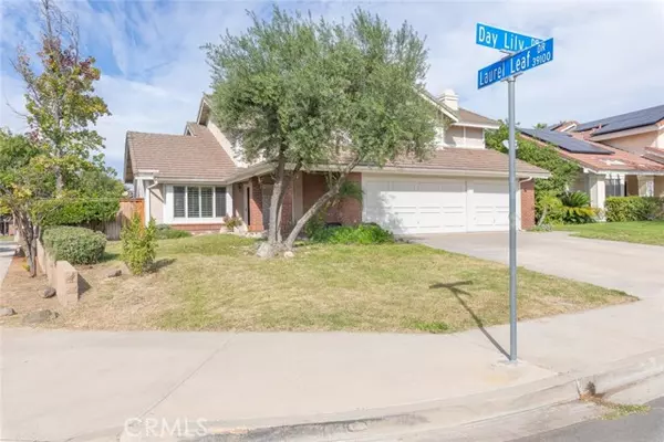 Murrieta, CA 92563,25436 Day Lily