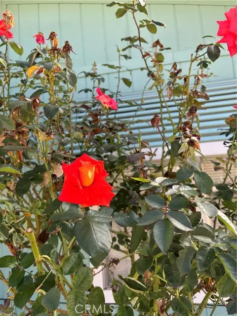 Mariposa, CA 95338,5277 Highway 49 79