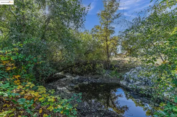 Murphys, CA 95247-0000,206 Main ST