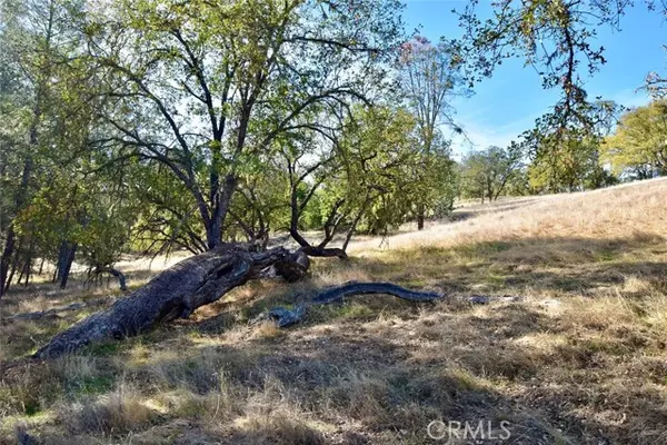 Bradley, CA 93426,47811 Sapaque VLY