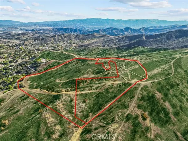 Castaic, CA 91384,1 Burlwood