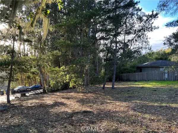 Cambria, CA 93428,1985 Wilton DR