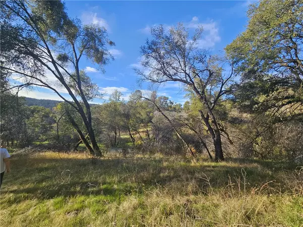 North Fork, CA 93643,58111 Lark