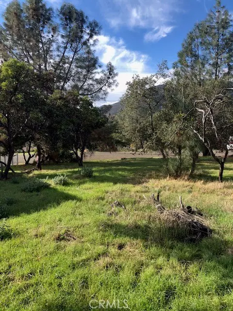 Kelseyville, CA 95451,5308 Olympia DR