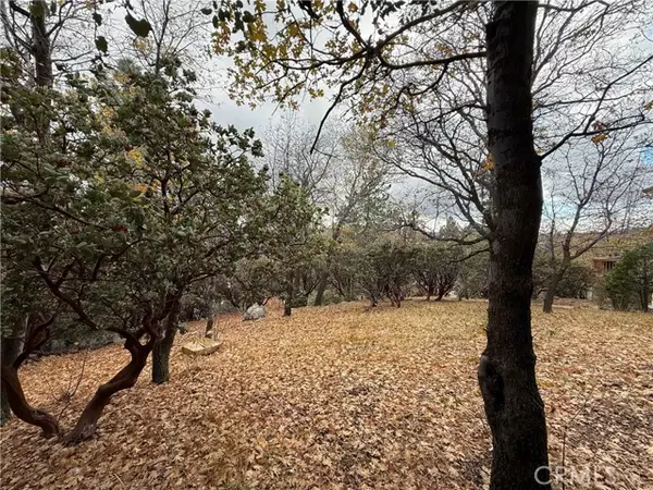 Lake Arrowhead, CA 92352,0 Yosemite DR