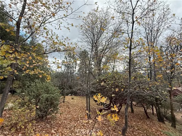 Lake Arrowhead, CA 92352,0 Yosemite DR