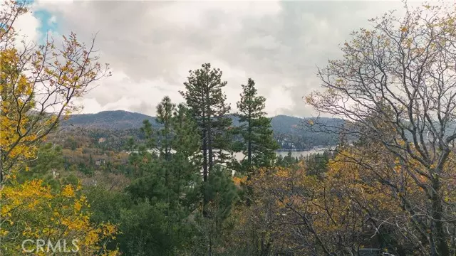 Lake Arrowhead, CA 92352,0 Yosemite DR