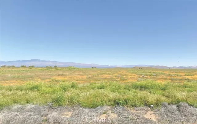 9800 Avenue C-8, Antelope Acres, CA 93536