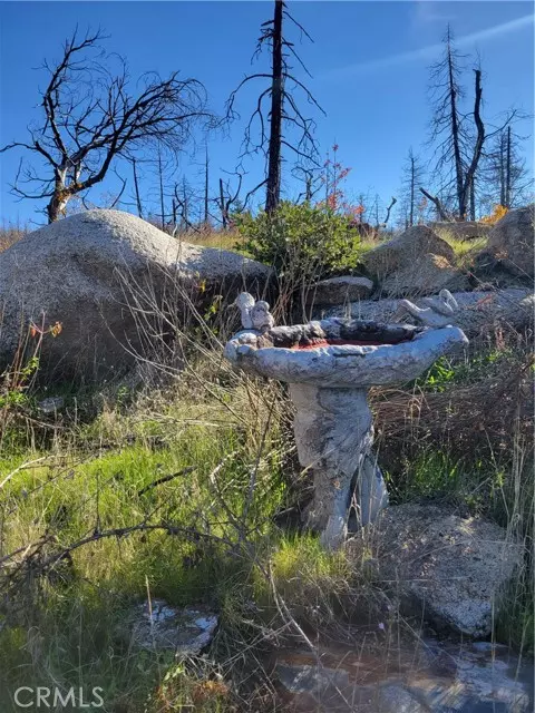 Berry Creek, CA 95916,161 Shadow Creek RD