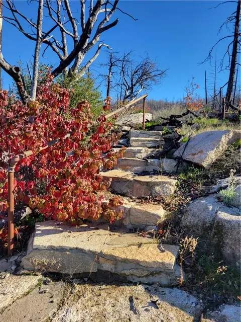 Berry Creek, CA 95916,161 Shadow Creek RD