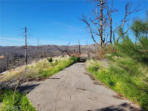 Berry Creek, CA 95916,161 Shadow Creek RD