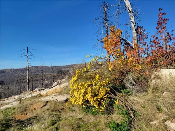 161 Shadow Creek RD, Berry Creek, CA 95916