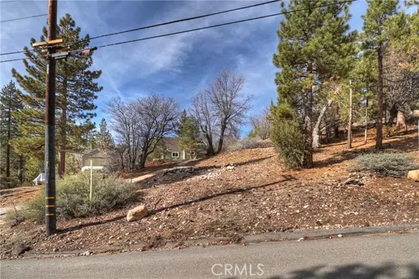 Fawnskin, CA 92333,1115 Fawnskin DR