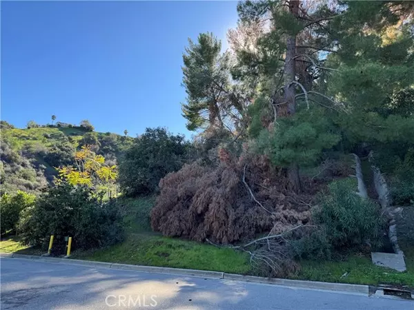 Woodland Hills, CA 91364,3 ambar DR