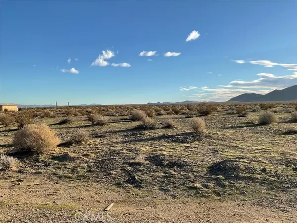 Helendale, CA 92342,1 Buffalo TRL