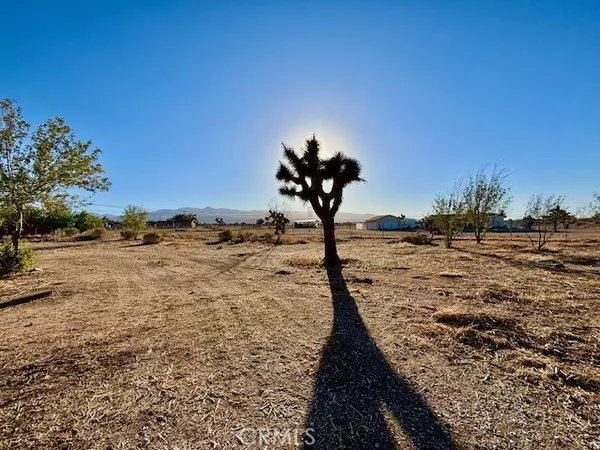 Phelan, CA 92371,9950 Sonora RD