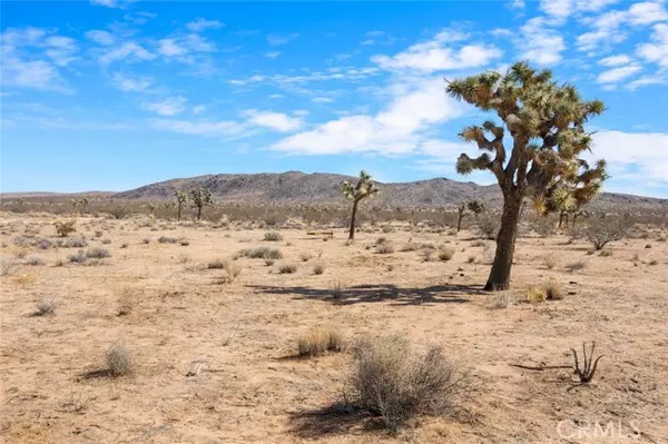 Yucca Valley, CA 92284,0 Avalon AVE