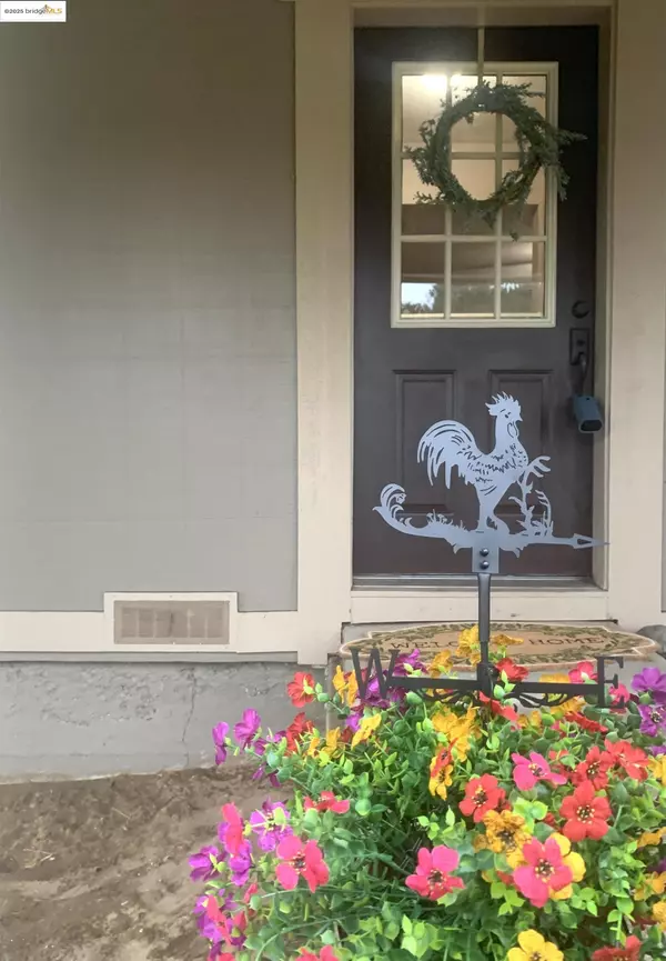 Oakley, CA 94561,5372 Tule Tree Ln